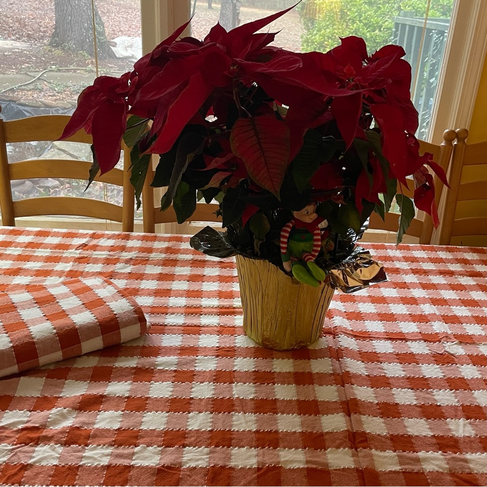 2 Country Cotton Table Cloths